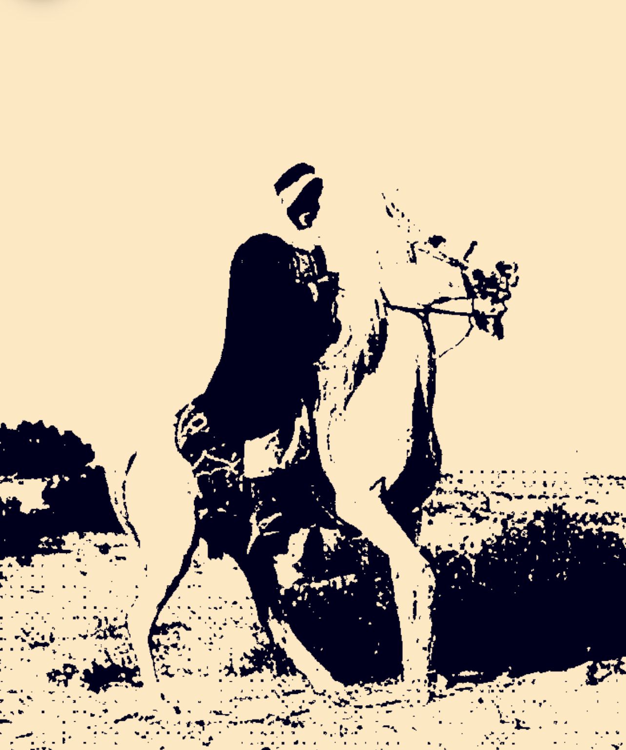 الشيخ فهاد بن غافل المظهور السرحاني